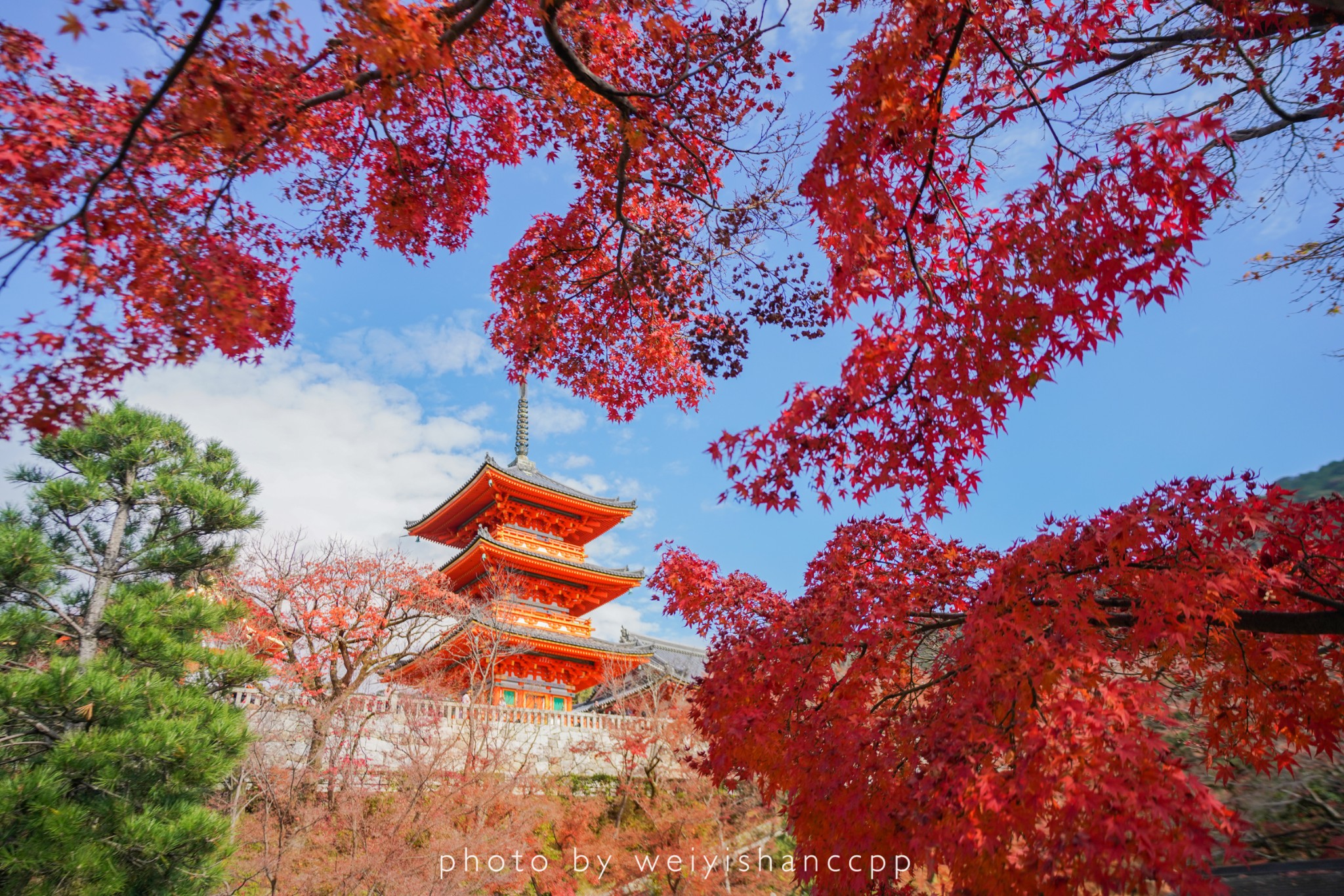 京都自助遊攻略