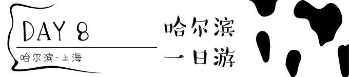 Day 8 哈尔滨一日游 Day 8 哈尔滨一日游