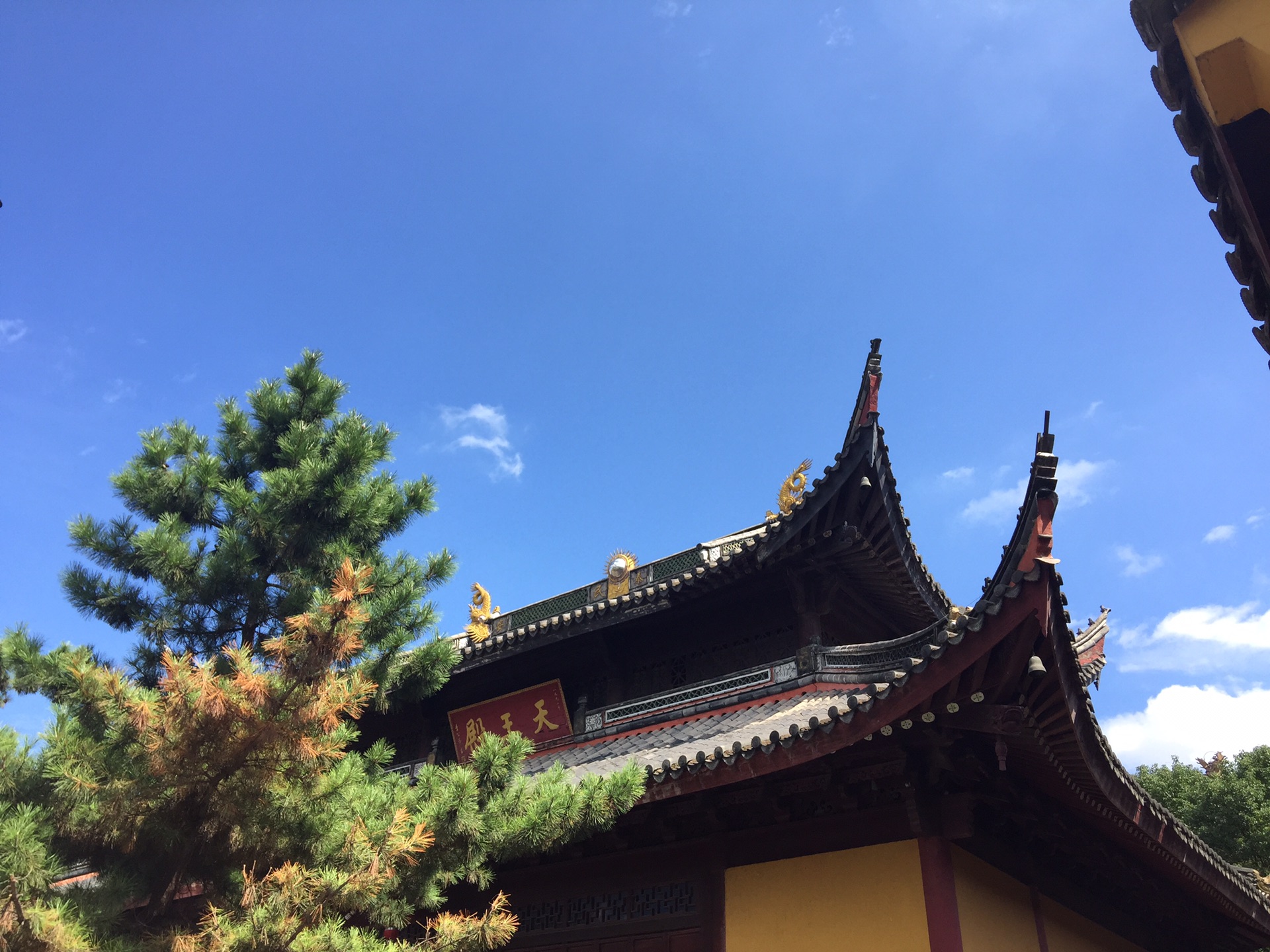 图为奥门成人人体鲍鱼图片 农村少妇露脸自拍高清图片