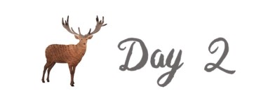 Day 2 斯德哥尔摩第一日 Day 2 斯德哥尔摩第一日
