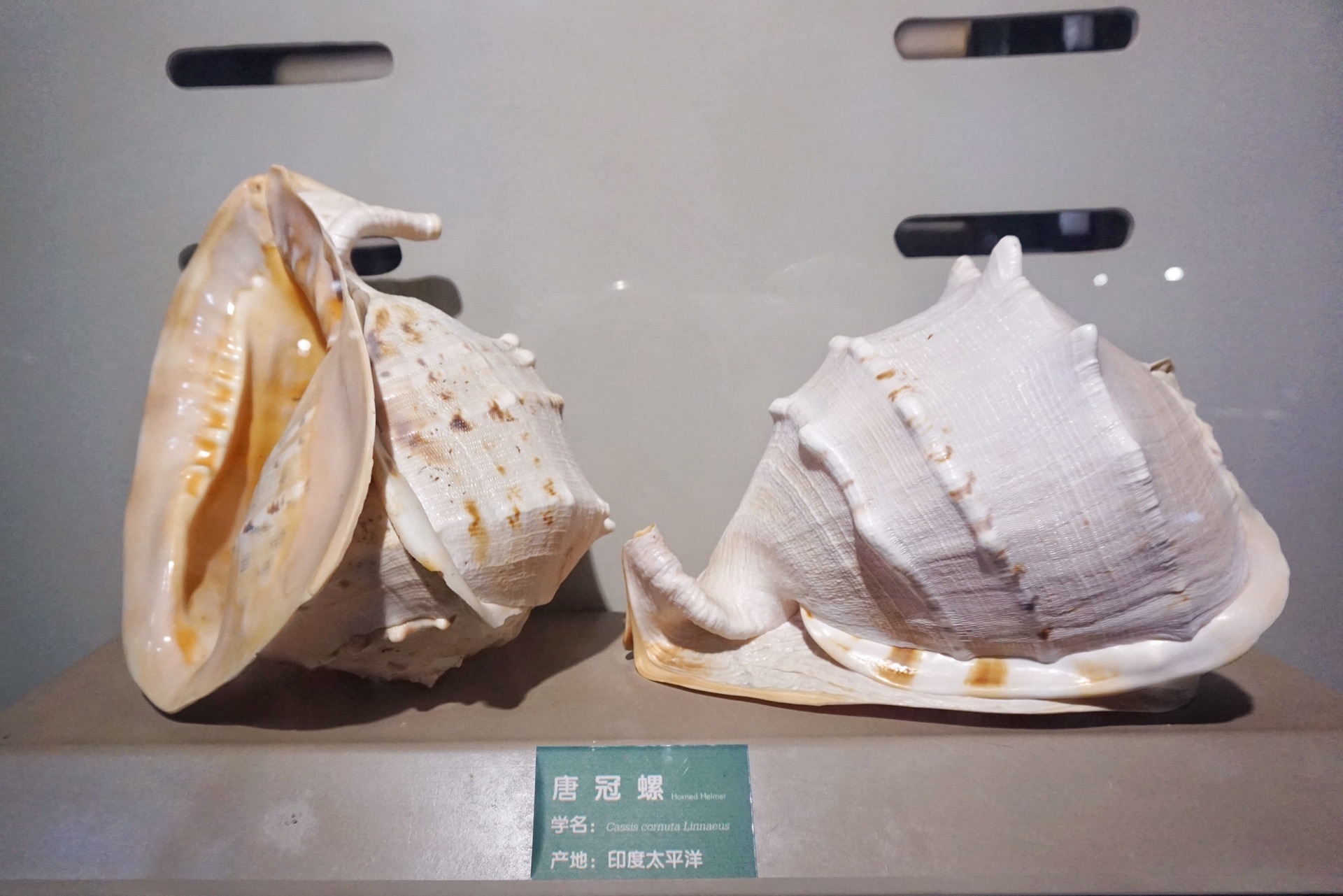 山東自助遊攻略