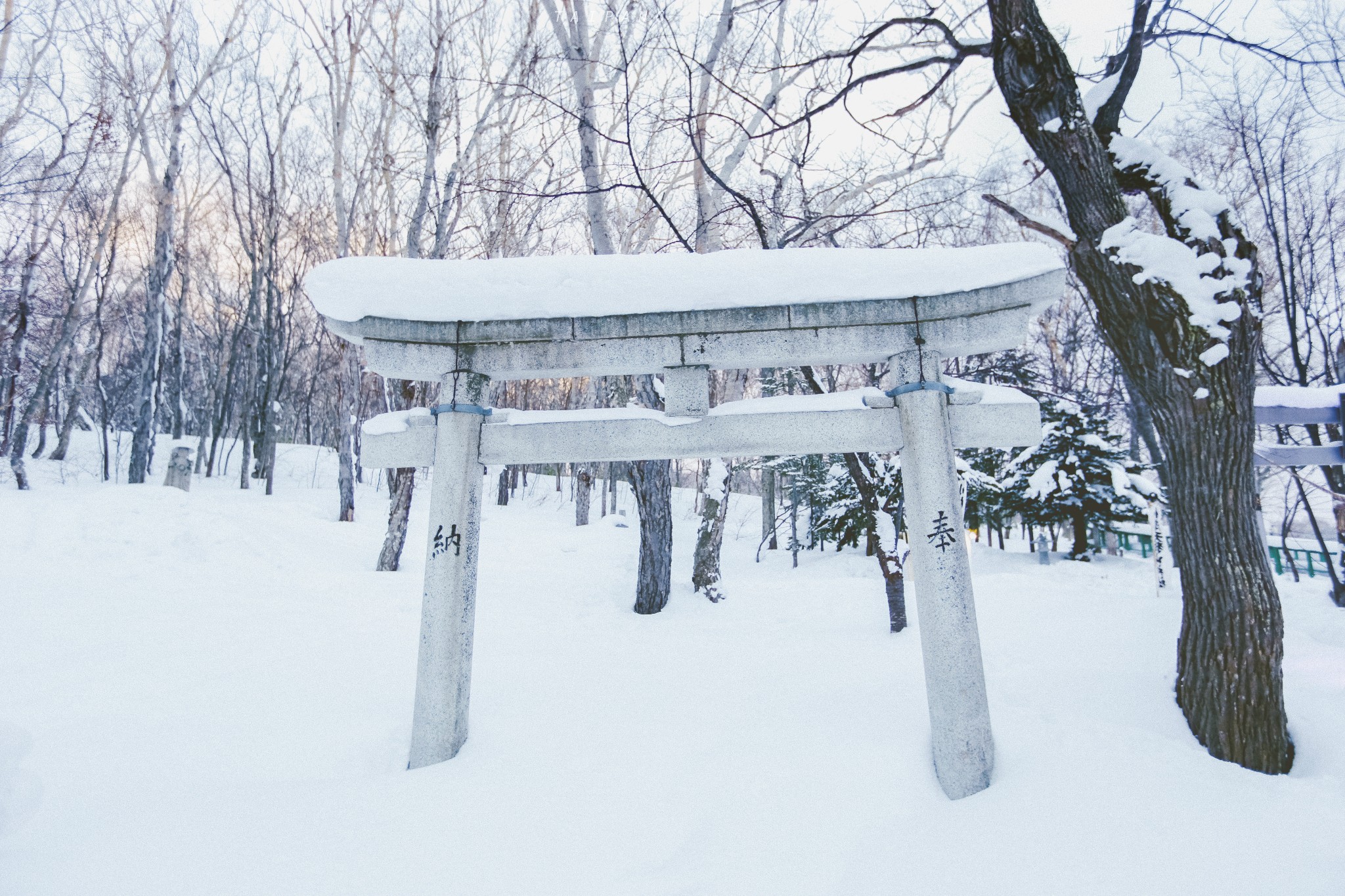 北海道自助遊攻略