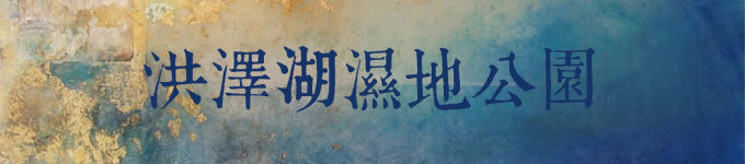 洪泽湖湿地公园 洪泽湖湿地公园
