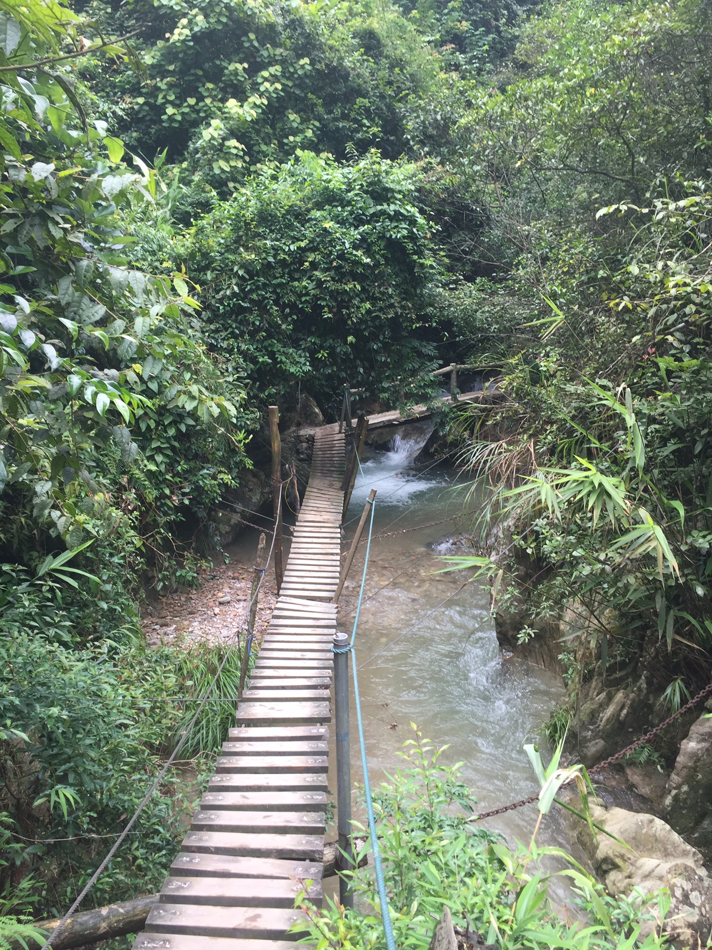 亲近大自然体验原生态玩水徒步溯溪肇庆藏龙沟亲子游