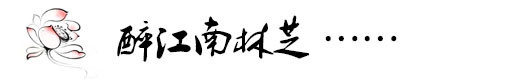 醉江南林芝 醉江南林芝